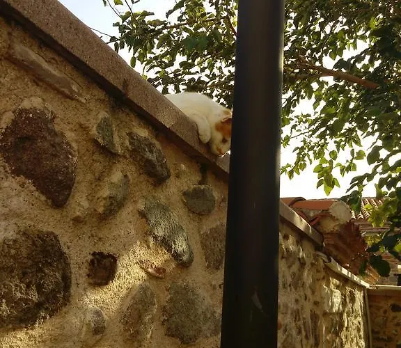 Aristonicus Boutique 3* ベルガマ