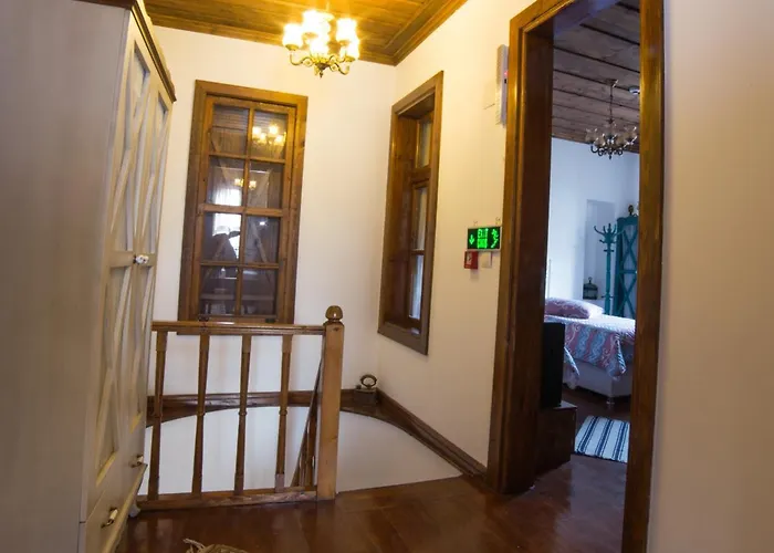 Aristonicus Boutique