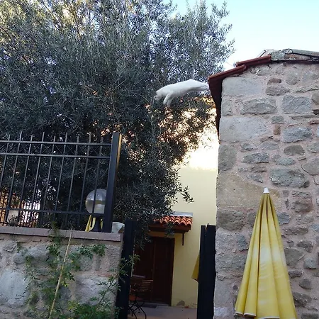 Aristonicus Boutique Hotel